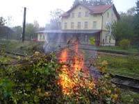 Stromky a větve z prořezávky skončily v ohni, který v říjnovém ránu alespoň na chvíli zahnal dotěravý chlad. Foto: Jirka Šplíchal  (22. 10 2005)