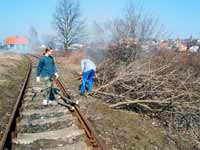 Prořezávka náletové vegetace ve stanici Bezdružice. Foto: Míra Klas (08. 04. 2006)