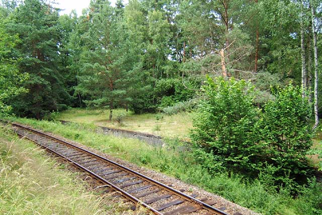 Betonové těleso bývalého nákladiště lomu Hradišťský vrch je v létě téměř schováno pod silným náletem.